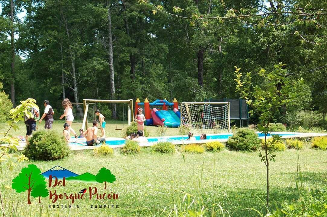 Hosteria Y Camping Del Bosque Pucón Eksteriør billede