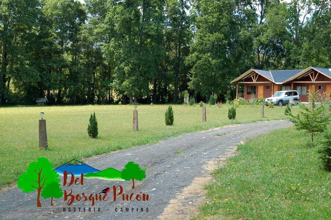 Hosteria Y Camping Del Bosque Pucón Eksteriør billede